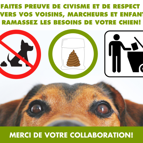 Chiens déjections_Jausiers