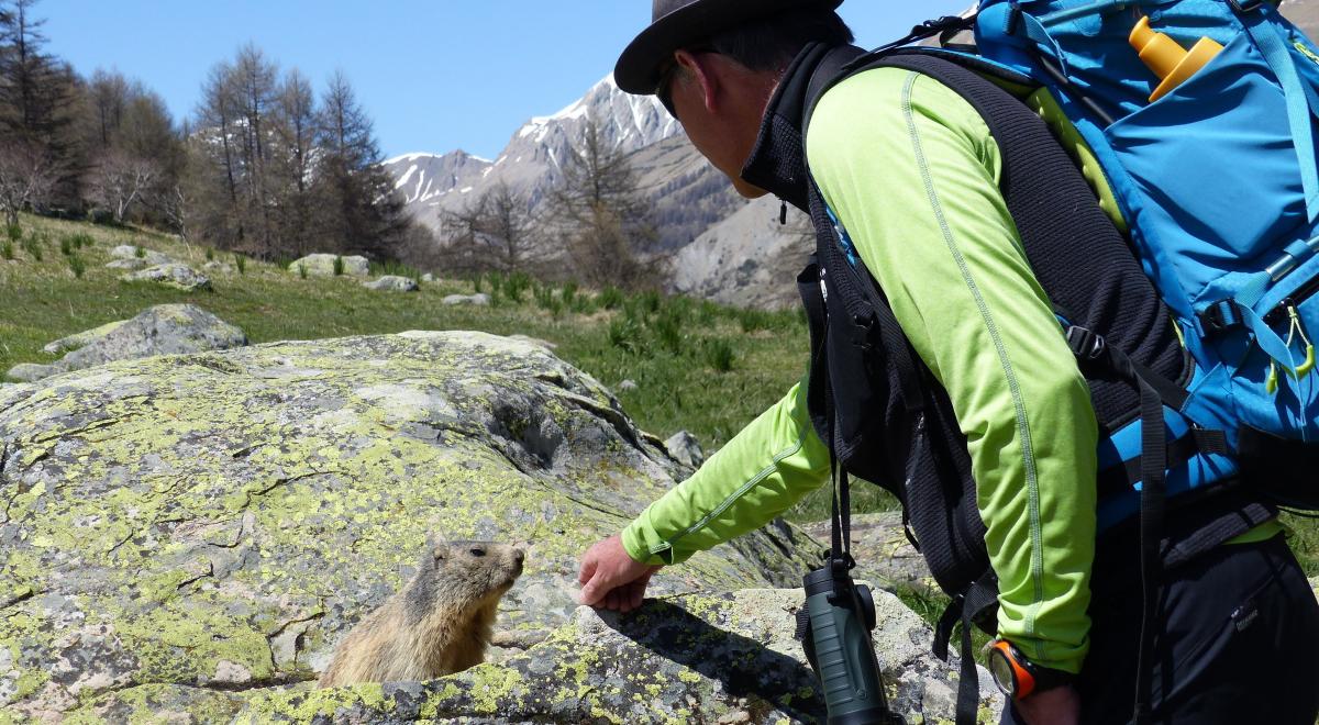 Montagne Attitude - Montagne Attitude