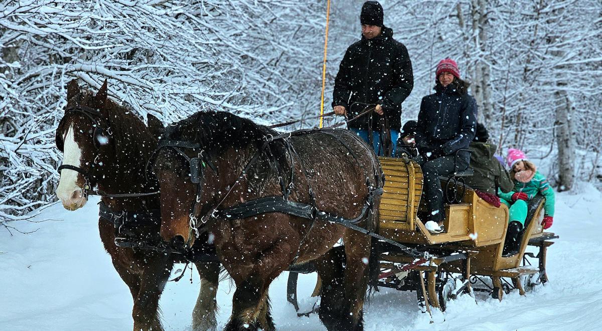 Provence Equiservices - Provence Equiservices