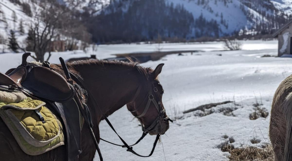 Provence Equiservices - Provence Equiservices