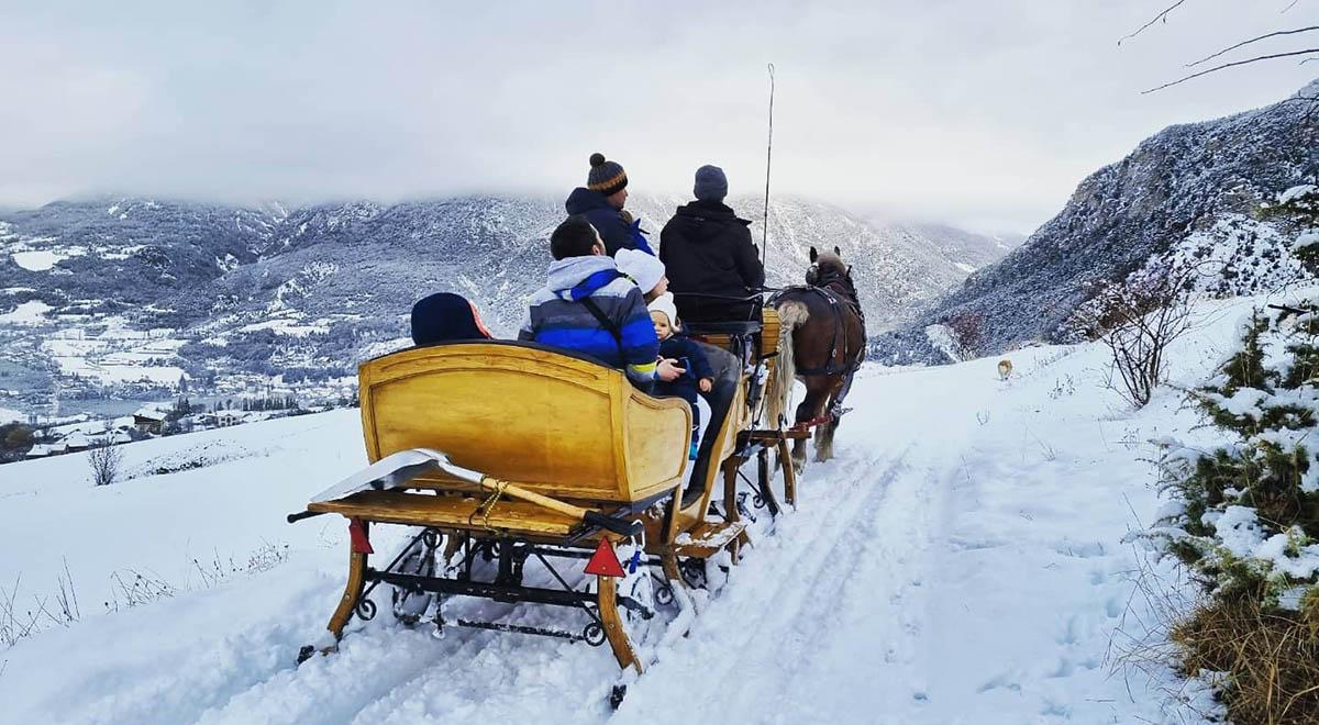 Provence Equiservices - Provence Equiservices