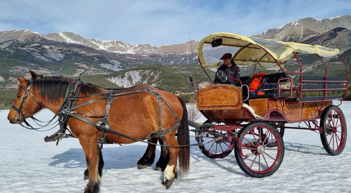 Provence Equiservices - Provence Equiservices