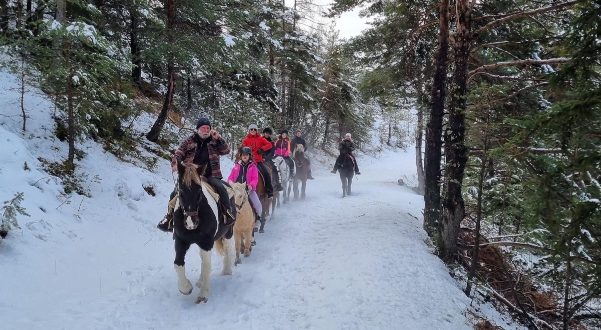 Provence Equiservices - Provence Equiservices