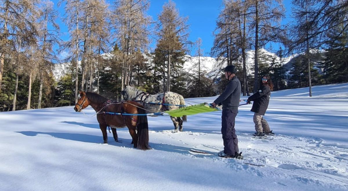 Provence Equiservices - Provence Equiservices