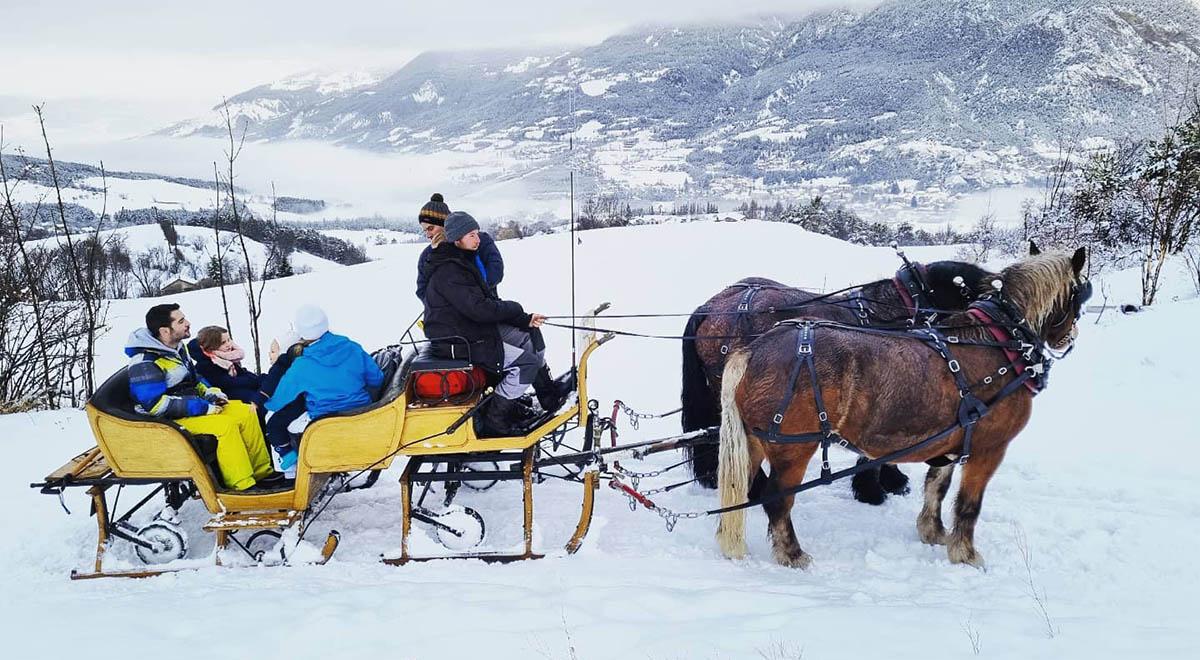 Provence Equiservices - Provence Equiservices