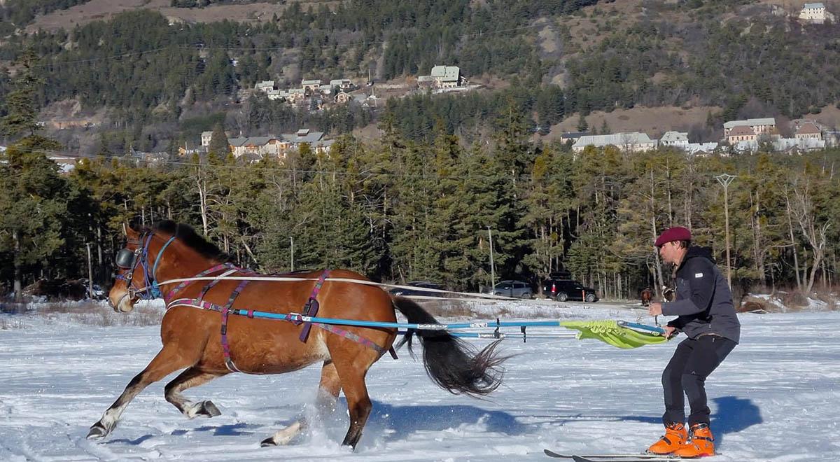 Provence Equiservices - Provence Equiservices