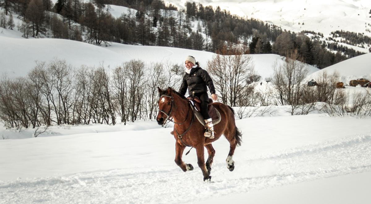 Provence Equiservices - Provence Equiservices