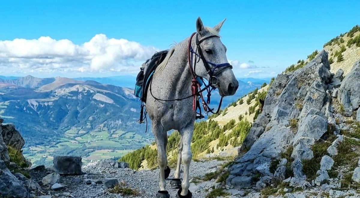 Provence Equiservices - Provence Equiservices