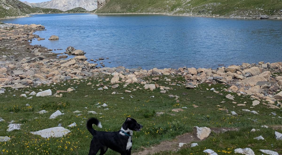 En terrain connu - Accompagnateur en montagne - En terrain connu