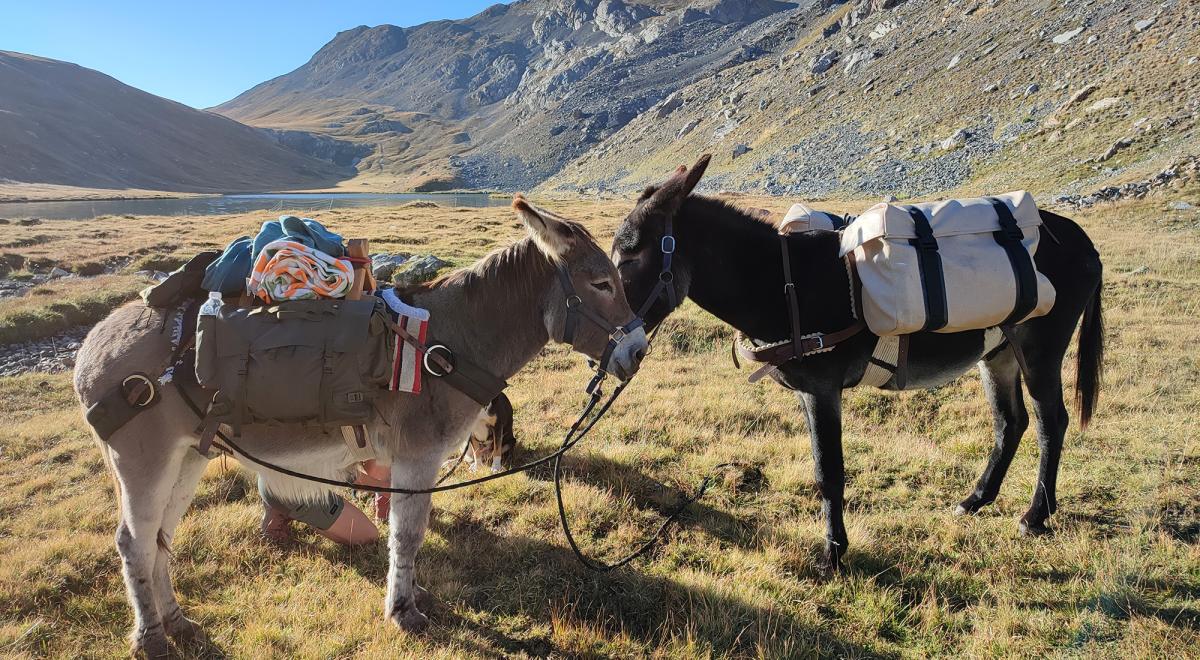 Tis'Ânes - Tis'Ânes