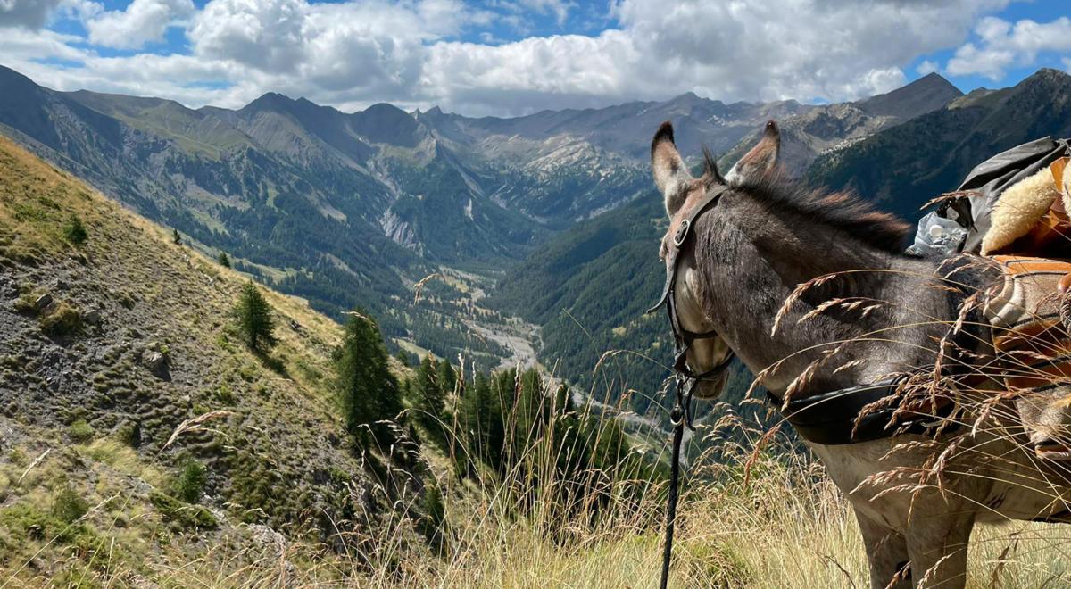 Tis'Ânes - Tis'Ânes