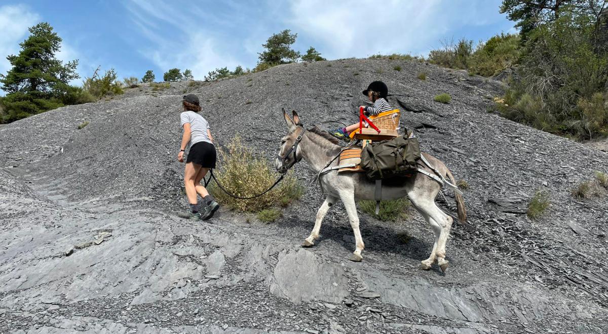 Tis'Ânes - Tis'Ânes