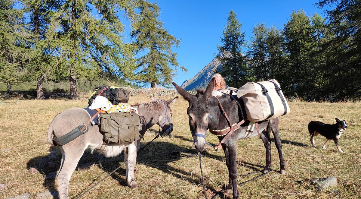 Tis'Ânes - Tis'Ânes