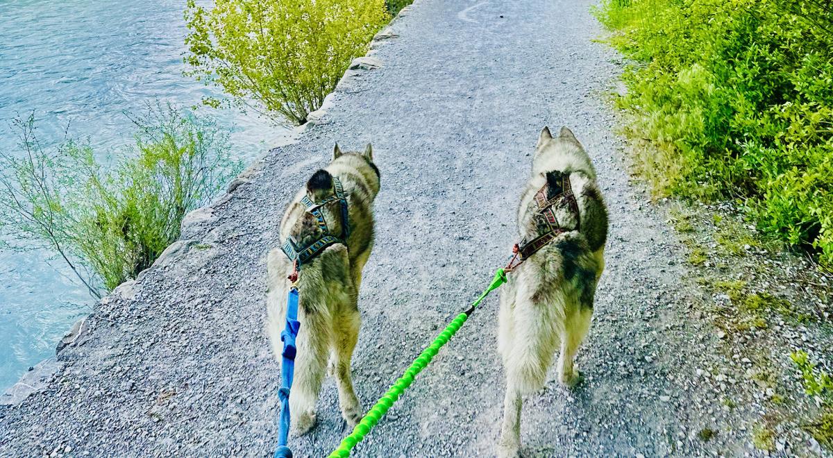 Yupik Aventures Nordiques - Yupik Aventures Nordiques