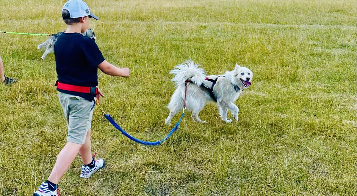 Yupik Aventures Nordiques - Yupik Aventures Nordiques