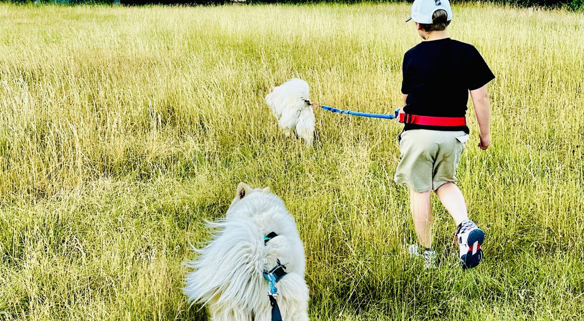 Yupik Aventures Nordiques - Yupik Aventures Nordiques