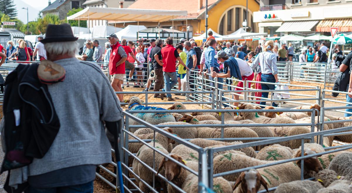 Foire de la Saint-Michel à Barcelonnette - Foire de la Saint-Michel à Barcelonnette Foire de la Saint-Michel à Barcelonnette - Foire de la Saint-Michel à Barcelonnette