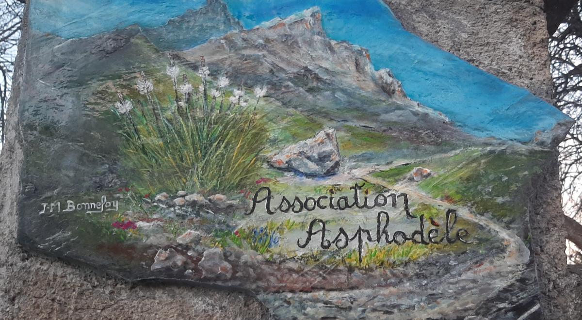 Association Asphodèle_Jausiers