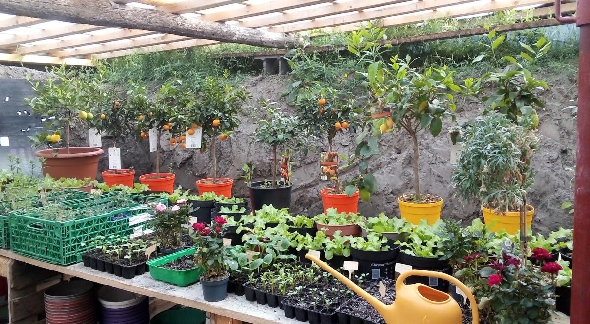 PAT: Visite maraichère _ exemple de la walipini