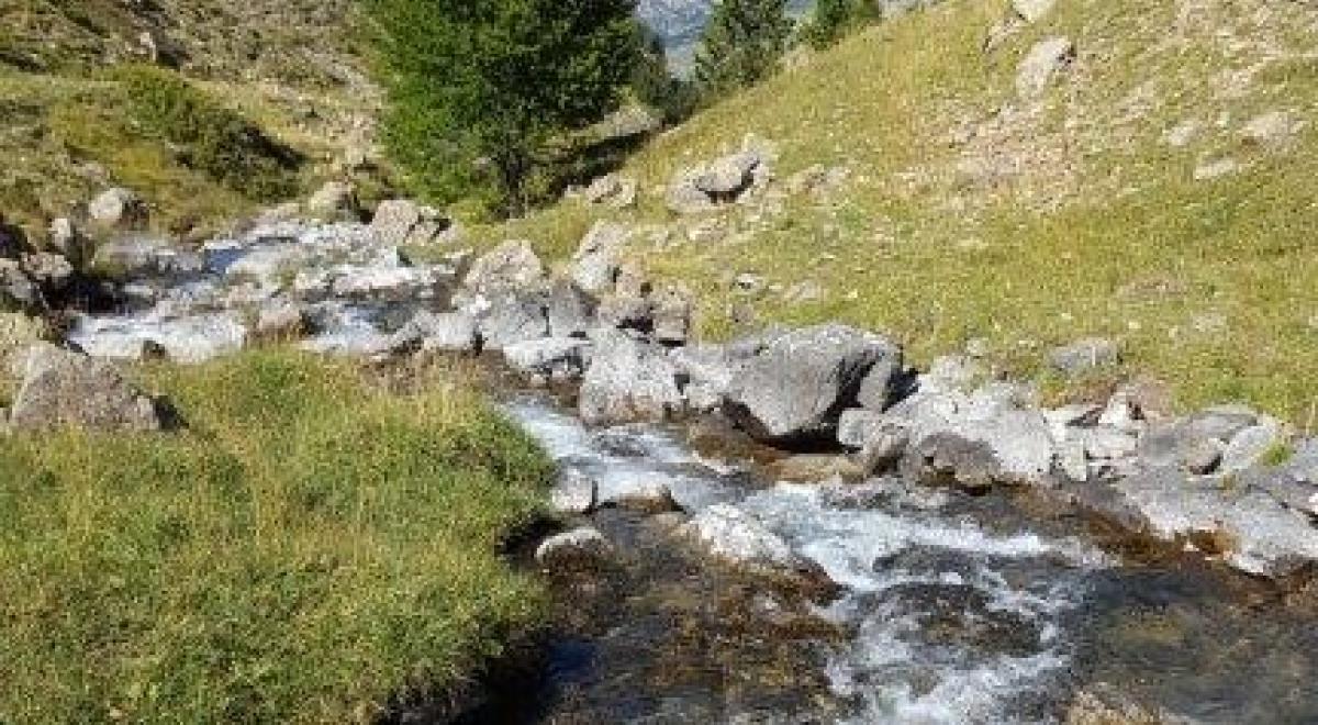 Torrent de Terre Pleine - Jausiers