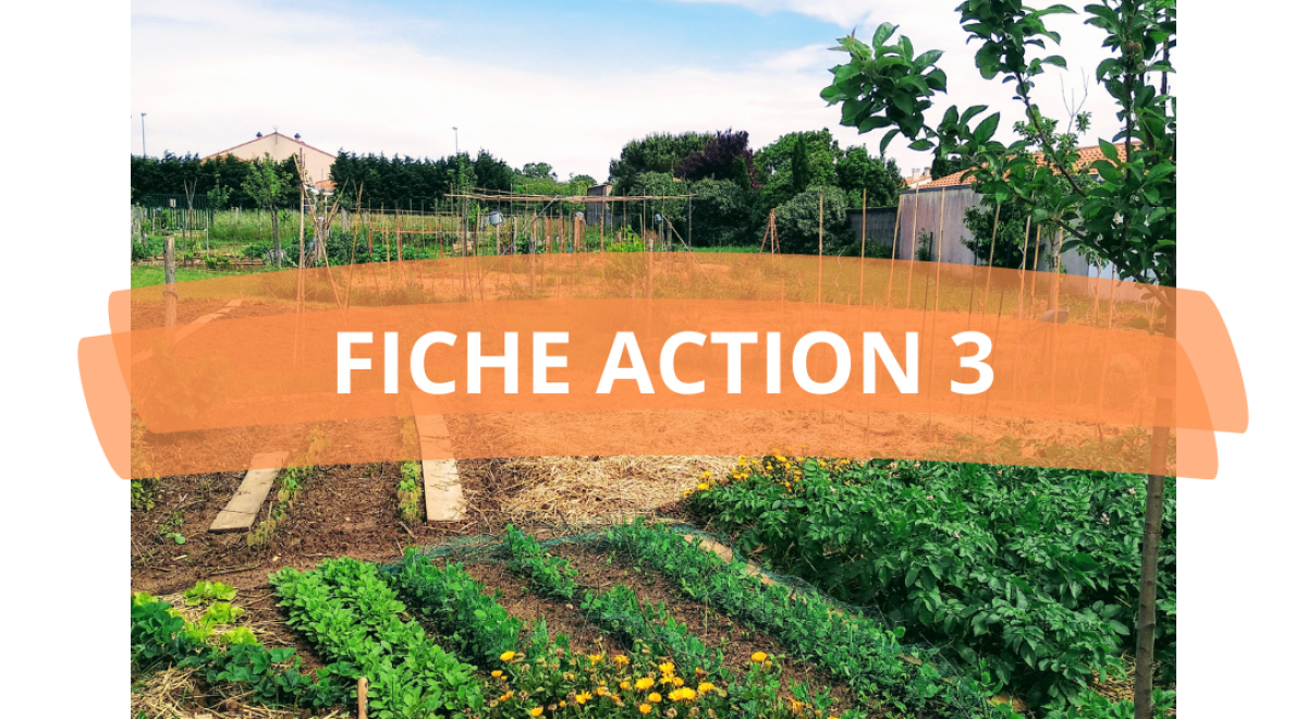 PAT_FICHE ACTION 3