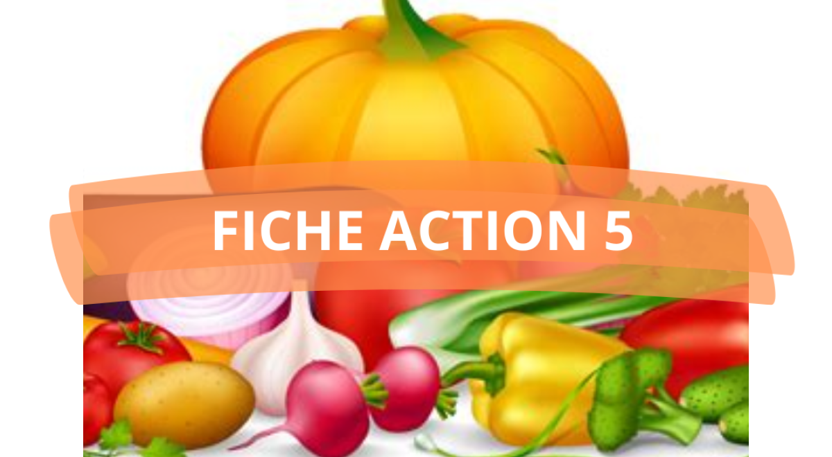 PAT_FICHE ACTION 5