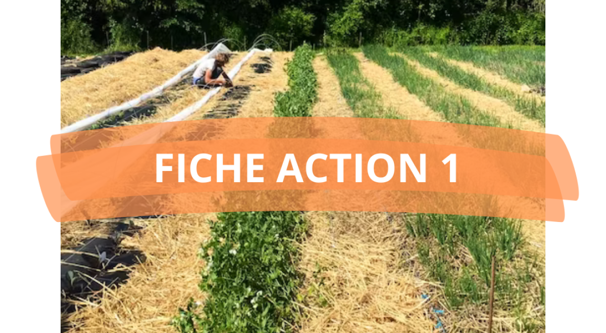 PAT_FICHE ACTION 1