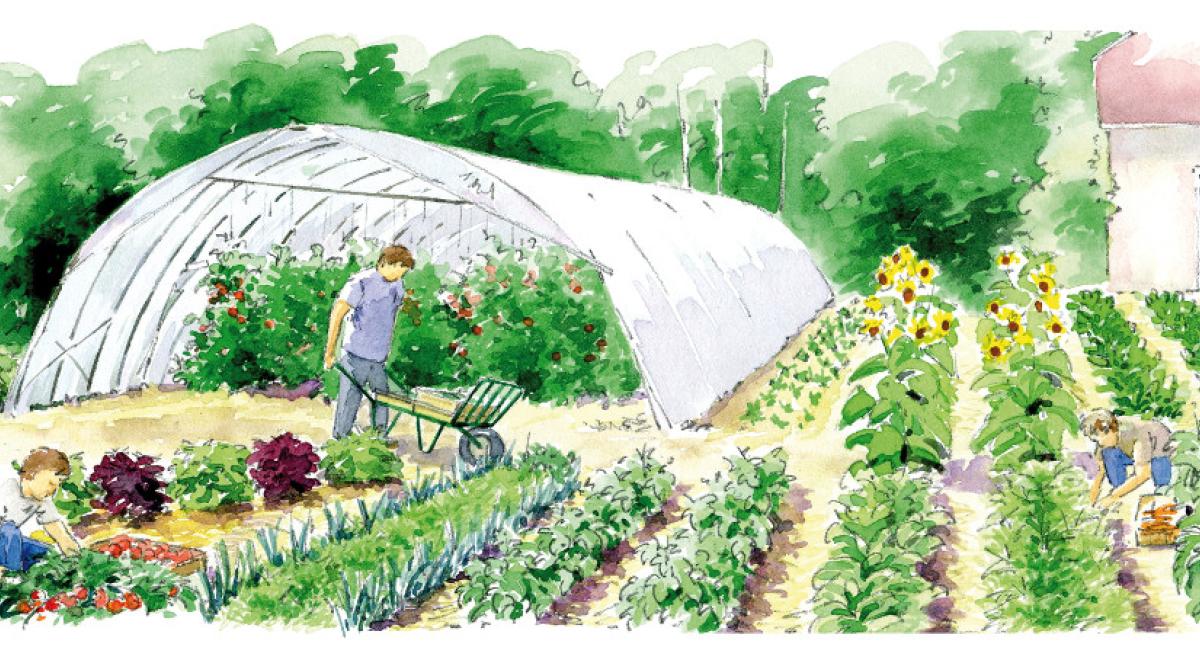 PAT_Jardins partagés image de présentation