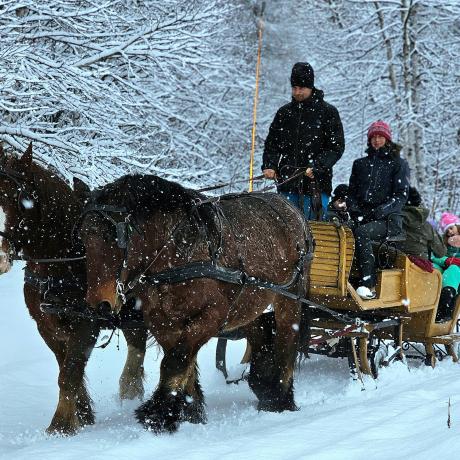 Provence Equiservices - Provence Equiservices