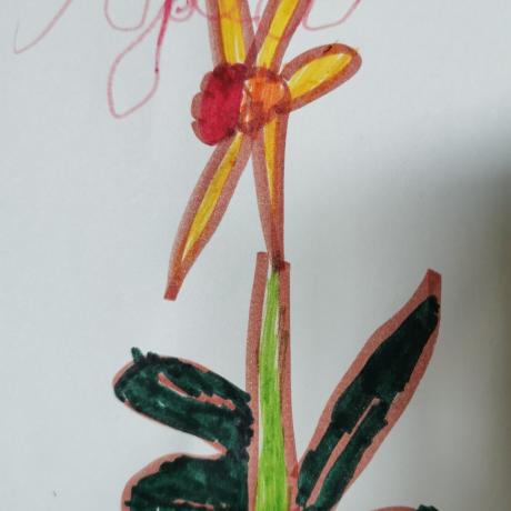 Une belle fleur -  Association Vivre Jeune à Jausiers