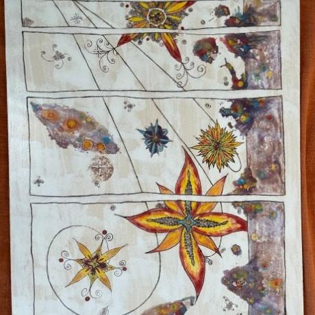 Didier_GUIGO_anis_étoilée