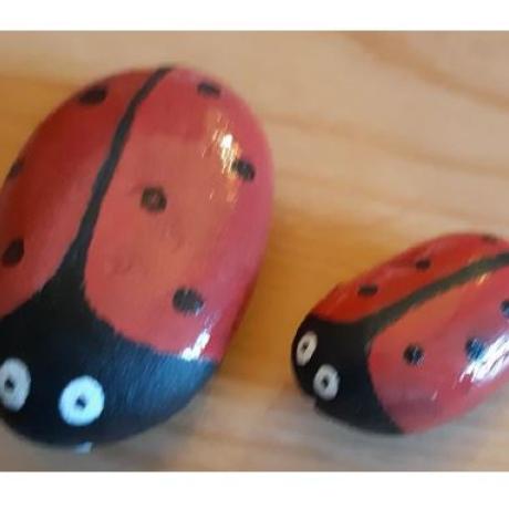 MDJ - Vivre Jeune | Jausiers MDJ - Vivre Jeune | Jausiers