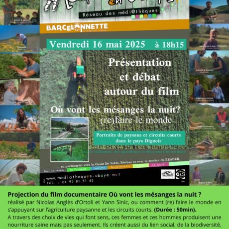 Affiche où vont les mésanges la nuit Affiche où vont les mésanges la nuit