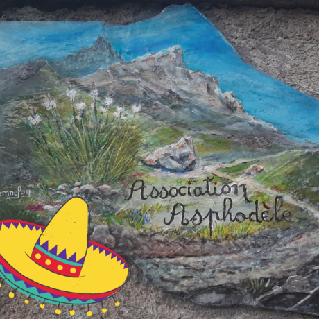 Asphodèle_repas mexicain_Jausiers
