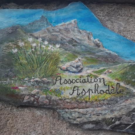 Association Asphodèle_Jausiers