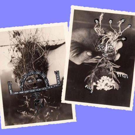 Bouquet-étoiles_centre_art_2026