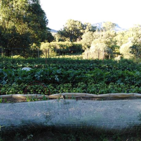 Densité du jardin