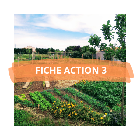 PAT_FICHE ACTION 3 PAT_FICHE ACTION 3