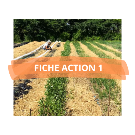 PAT_FICHE ACTION 1 PAT_FICHE ACTION 1