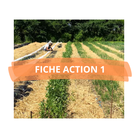 PAT_FICHE ACTION 1