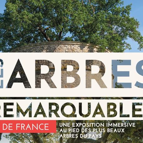 Les_Arbres_Remarquables_Visuel