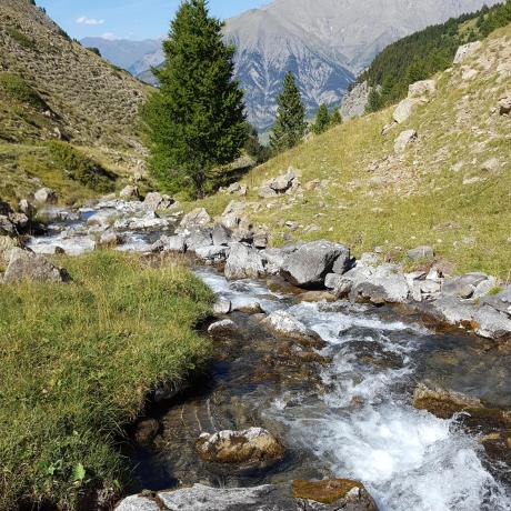Torrent Terres Pleines-Jausiers