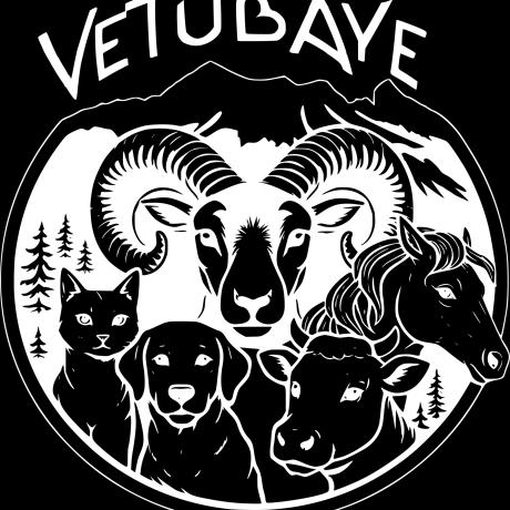 Vetubaye_visuel.jpg