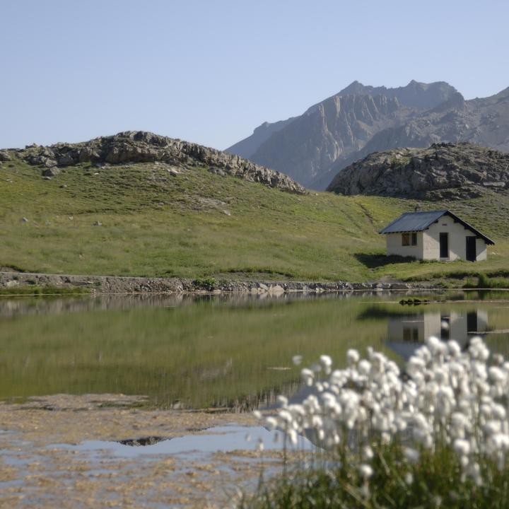 Lac des Eissaupres - route de La Bonette