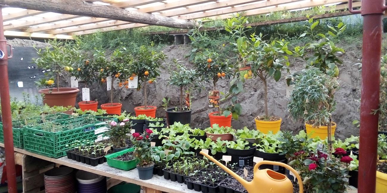 PAT: Visite maraichère _ exemple de la walipini