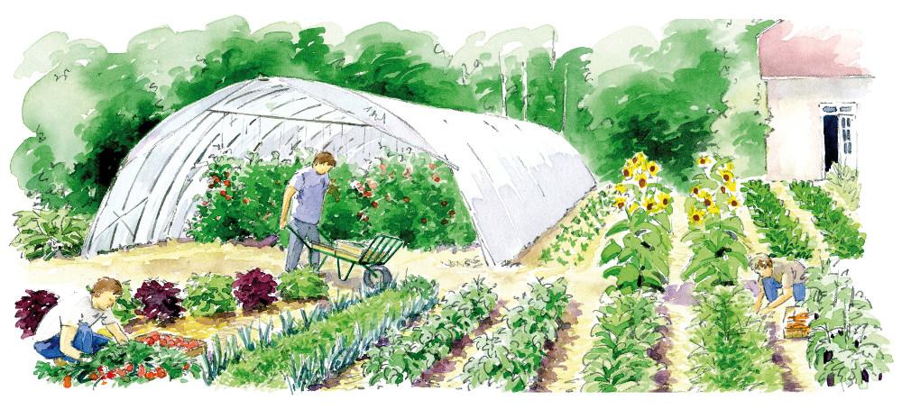 PAT_Jardins partagés image de présentation