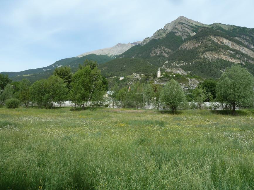Vue sur la parcelle concernée par le projet