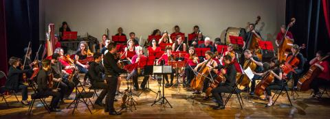 Allegria Symphonique Orchestra 