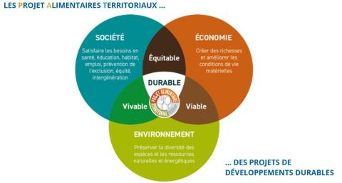 Piliers du DD 2