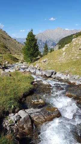 Torrent Terres Plaines